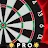 Darts Pro : Multiplayer Fun icon