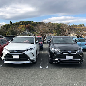 ハリアー MXUA80