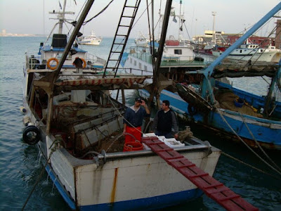 Il pescatore di pietro bruno