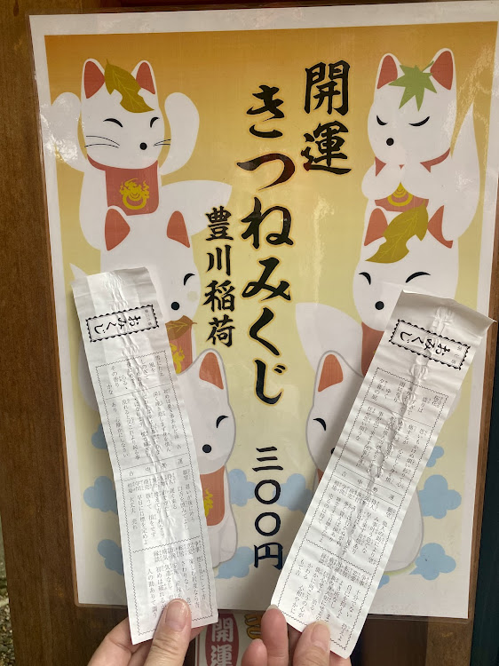 アイのちょっと愛知県までドライブ🚙💨・豊川稲荷神社・ご当地グルメは食べないとねに関するカスタム事例の投稿画像22枚目