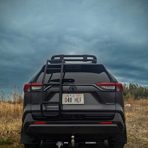 RAV4 MXAA54