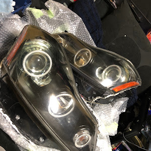 フーガ Y50型