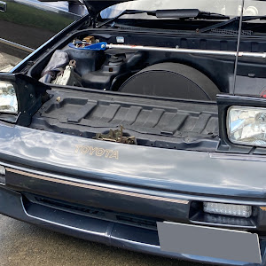 MR2