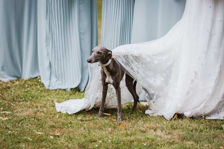 Pulmafotograaf Greg Shingler (gregshingler). Foto tehtud 1 veebruar 2023