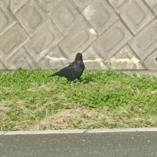 バナナうめぇ