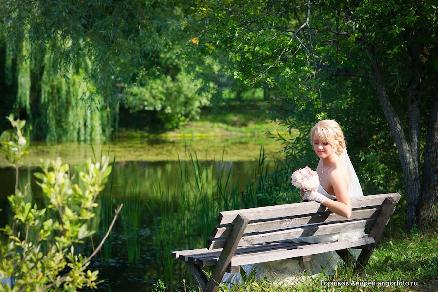 Fotógrafo de bodas Andrey Gorshkov (angor73). Foto del 2 de diciembre 2012