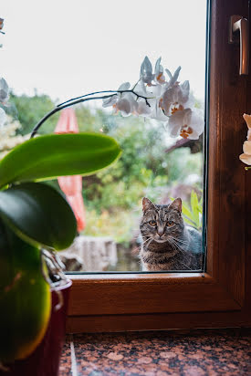 Fotografo di matrimoni Terezie Müllnerová (mullny). Foto del 19 dicembre 2022