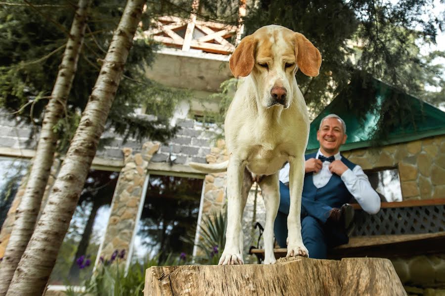 Fotógrafo de bodas Vadim Suchkov (vadimsuchkov). Foto del 5 de diciembre 2018