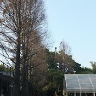 綠風草原餐廳