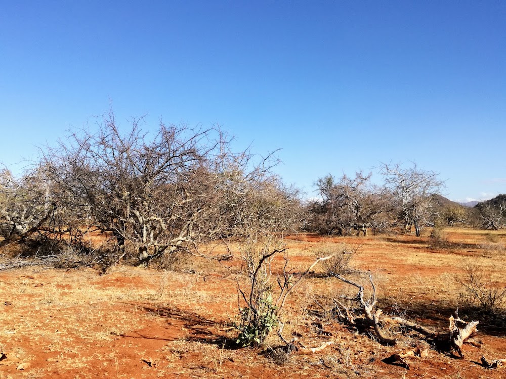 DE CAMINO A LA RESERVA NACIONAL DE SAMBURU - Un poquito de Kenia: Lagos Naivasha y Nakuru, Samburu y Masai Mara (8)