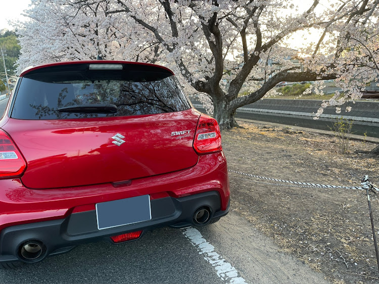 スイフトスポーツのサクラと愛車・MTは楽しい・スイスポzc33sに関するカスタム事例の投稿画像2枚目