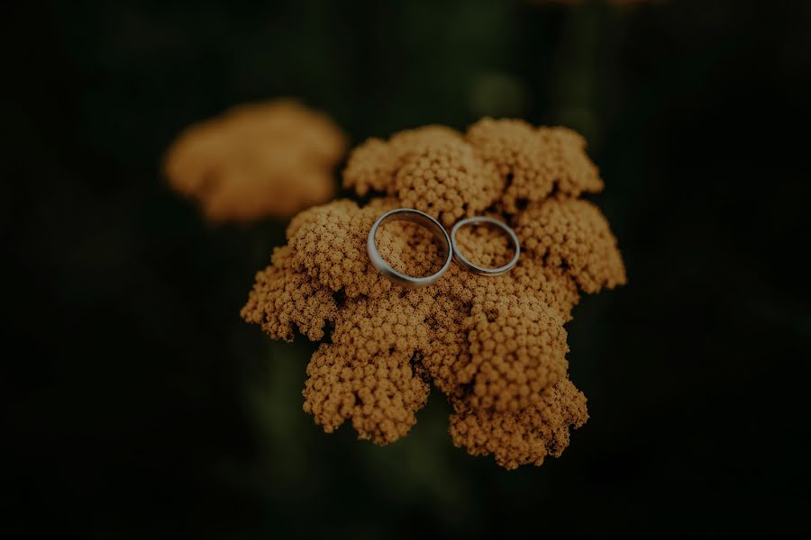 Wedding photographer Monika Chaňo (chanovicfoti). Photo of 3 February