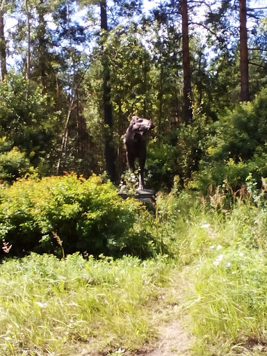 Внезапный Лось