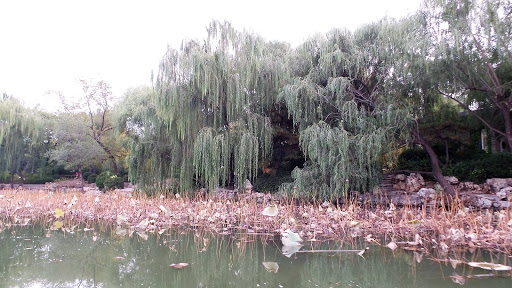 Bamboo Lake Beijing China 2015