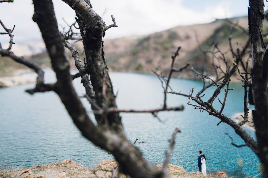 Wedding photographer Maks Kerzhencev (maxkerzh). Photo of 15 May 2015