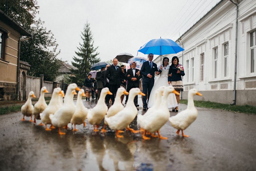 結婚式の写真家Csongor Menyhárt (menyhart)。2017 10月18日の写真