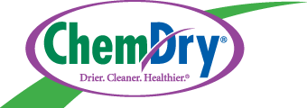 drier cleaner healthier chem dry logo