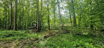 terrain à Saint-Hilaire-les-Andrésis (45)