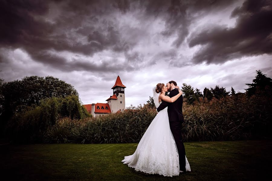 Fotógrafo de casamento Petr Doležal (prague-photo). Foto de 31 de julho 2019