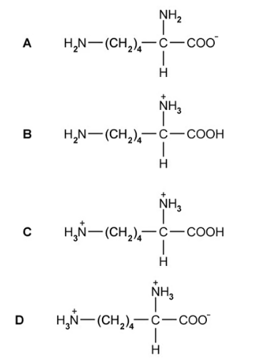 Amino acids