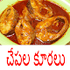 Download Fish recipes in telugu(specials) For PC Windows and Mac 1.0.0