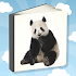 Picture Book For Toddlers Free1.04