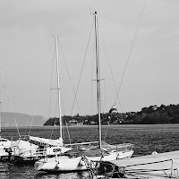 Finché la barca va, lasciala andare  di 