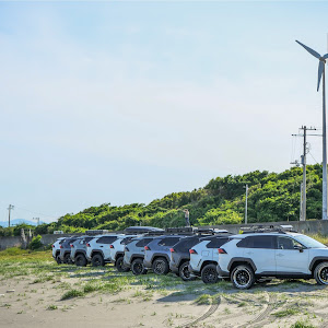 RAV4 AXAP54