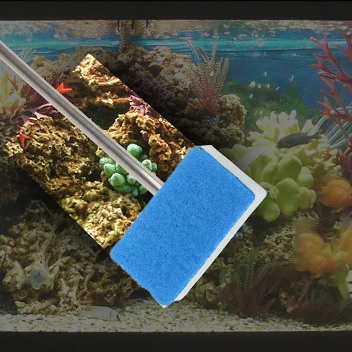 images slider number - 5