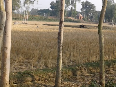 Photos of Sura Masjid