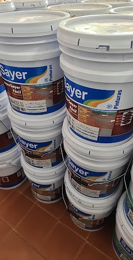 Sayer Ixtepec - Visual