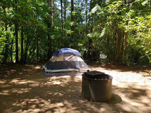 Sutton Campground - Visual
