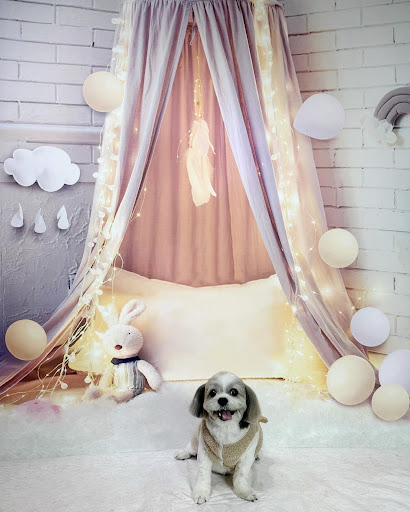 Bukit Barkdog Grooming - Thumbnail