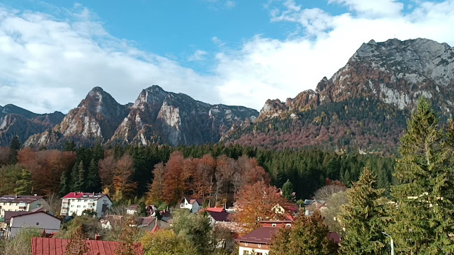 Opinii despre Casa Magica în Bușteni - Hotel