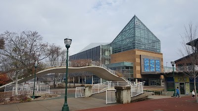 Photos of Tennessee Aquarium
