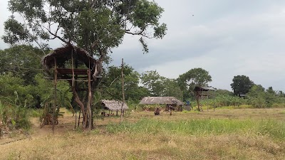 Photos of Bless Srilanka Tours