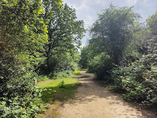 Hounslow Heath - Thumbnail