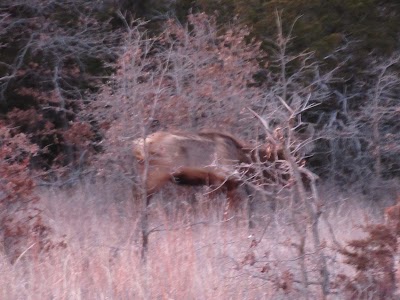 Charons Garden Wilderness