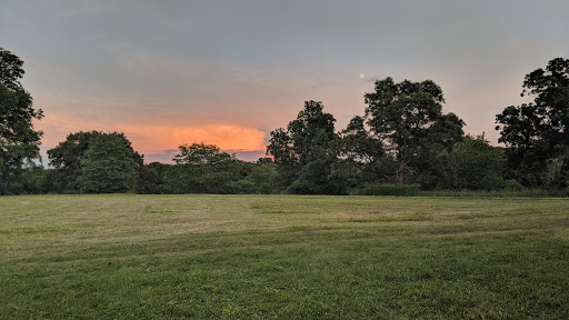 Whiterock Conservancy Star Field Campground Gallery - United States