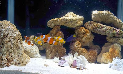 Photos of Fisherman's Cave BD