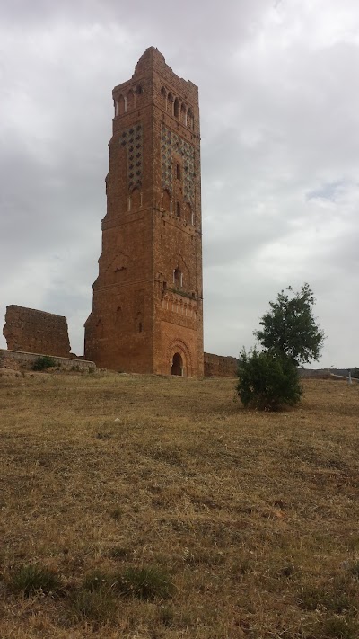 Photos of The Remains of Mansura Tlemcen