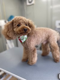 犬の美容室わんCute