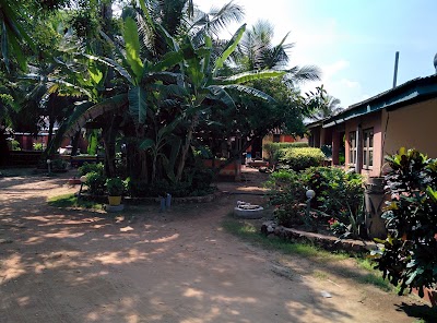 Photos of Big Milly's Backyard