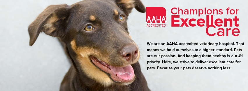 Westway Animal Clinic