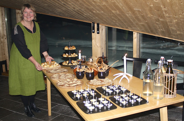 Essense of Lapland by null