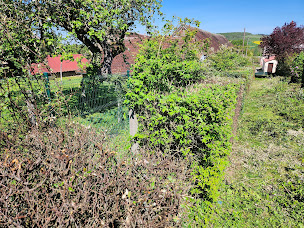 Photo n°7 de Mathieu Multiservices - MAMS à Caulnes (Service d'entretien de pelouse)