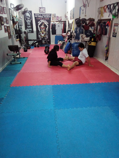Academia De MMA free style