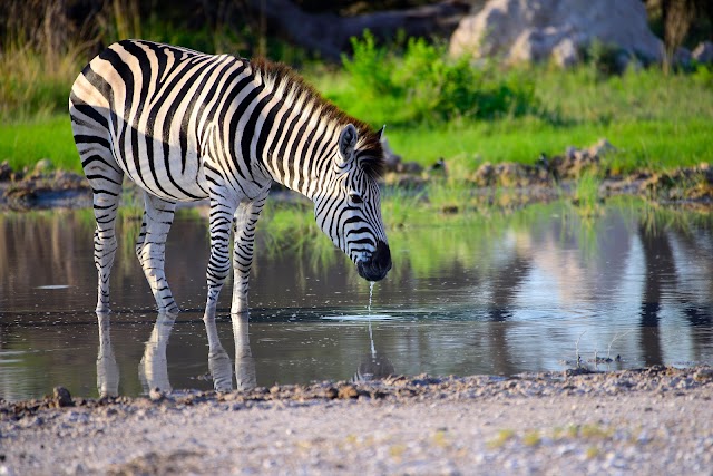 Nxai Pan National Park