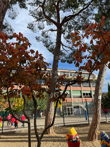 Monalco - Visual