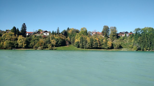 Forggensee